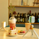 PHOTOOLEX -Desktop Dripod-Big